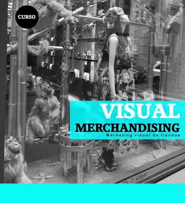 Visual Merchandising