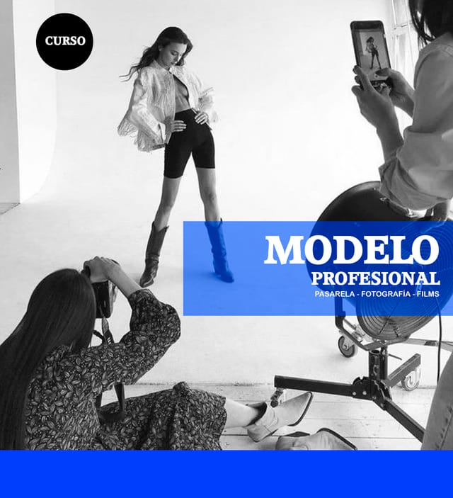Modelo Profesional
