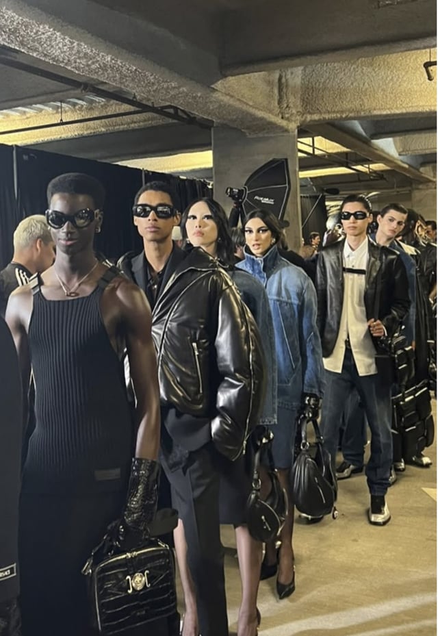 Modelo Profesional - imagen 1